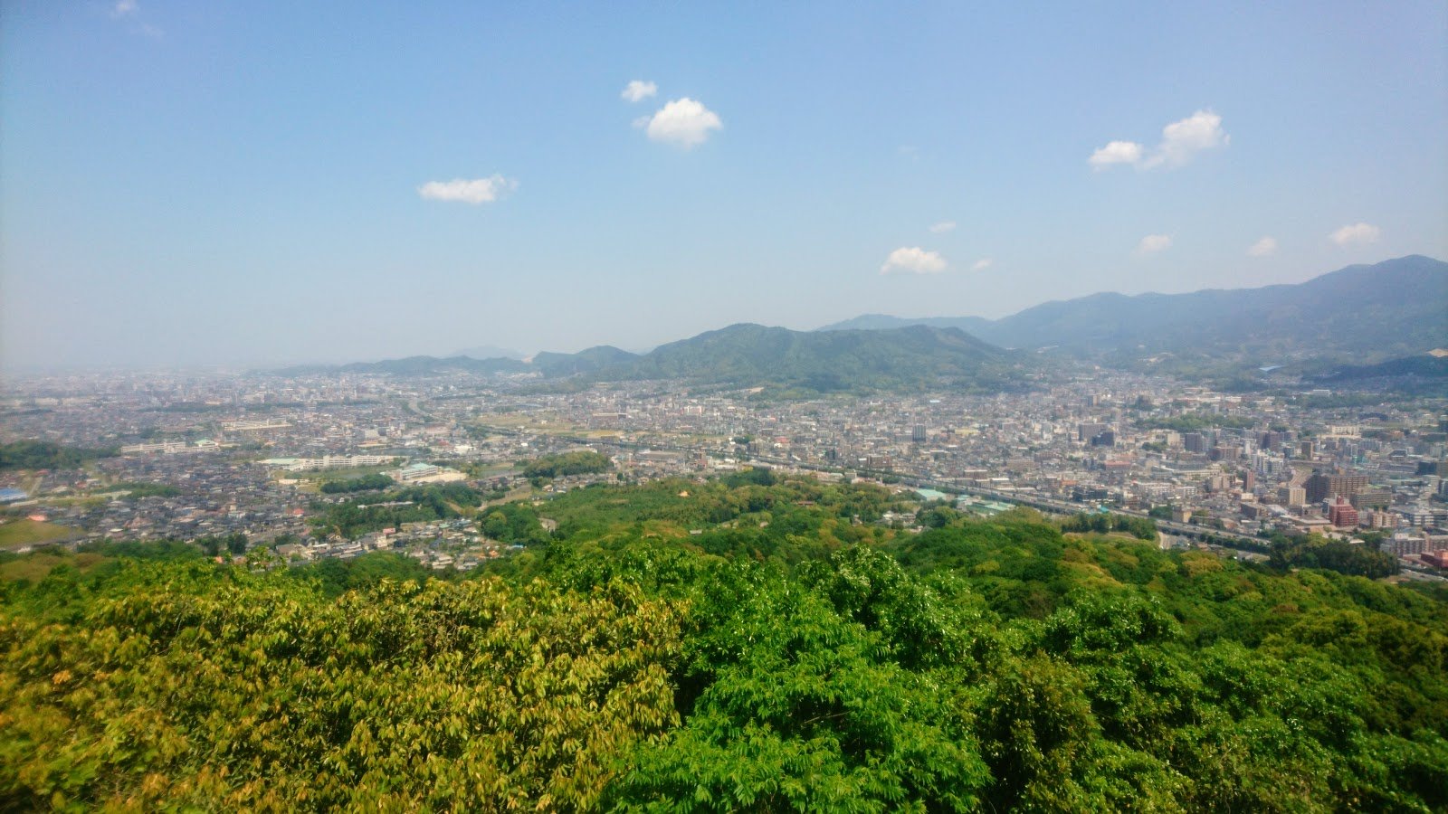 🏞️ 텐파이잔 역사 자연 공원 (텐파이잔 레키시 시젠 코엔) 이미지 6
